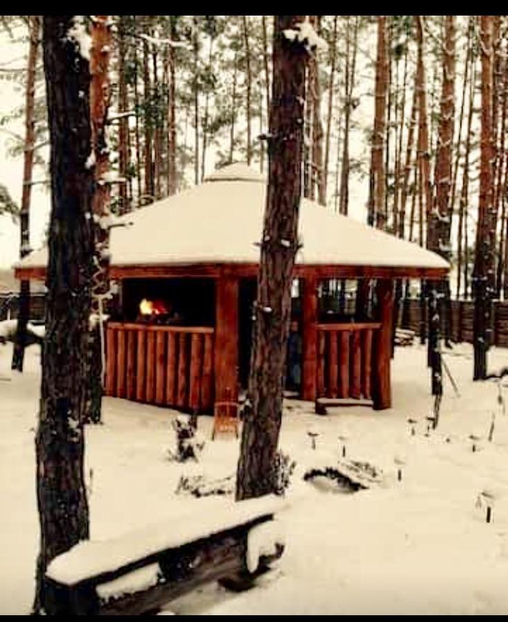 בית הארחה Bila Krynytsia 	Eco Dom V Lesu מראה חיצוני תמונה